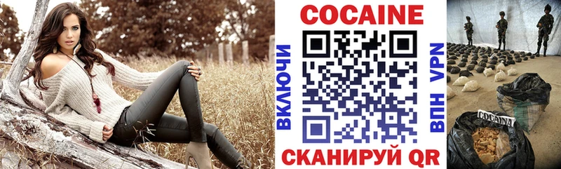 купить закладку  Куровское  Cocaine Эквадор 