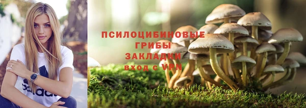 спиды Алзамай