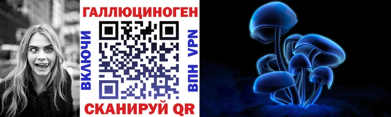 Псилоцибиновые грибы GOLDEN TEACHER  как найти закладки  Куровское 